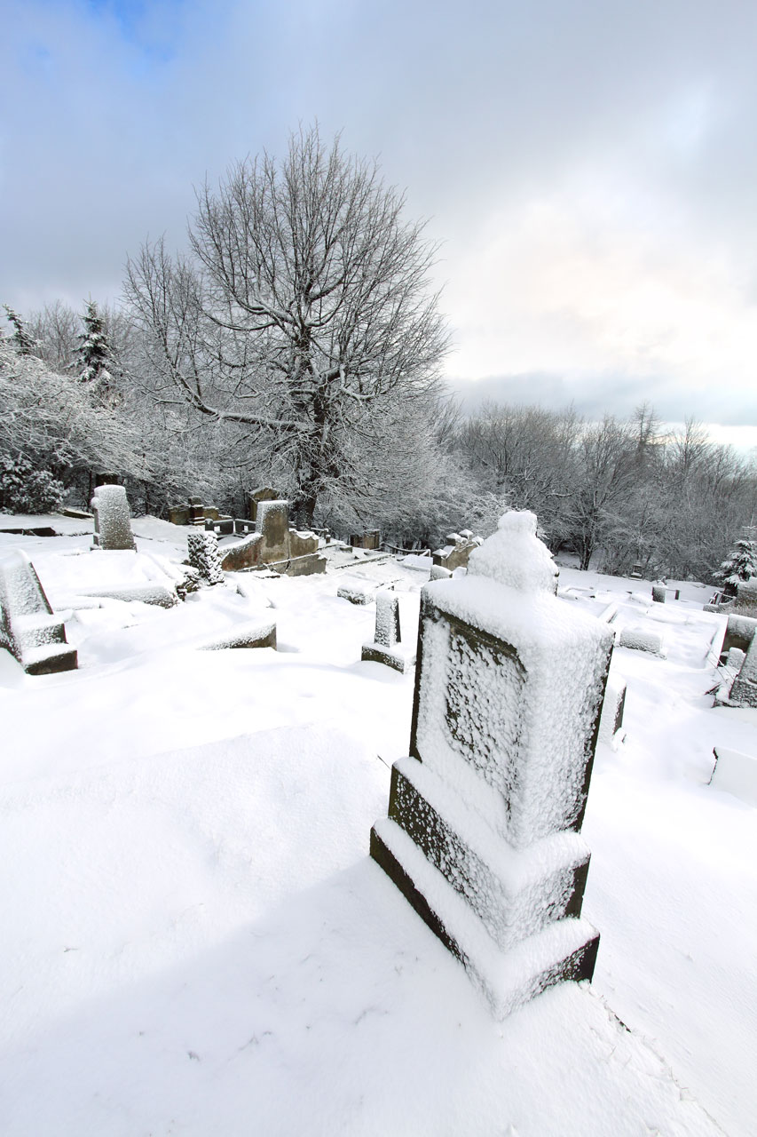 公墓在冬季