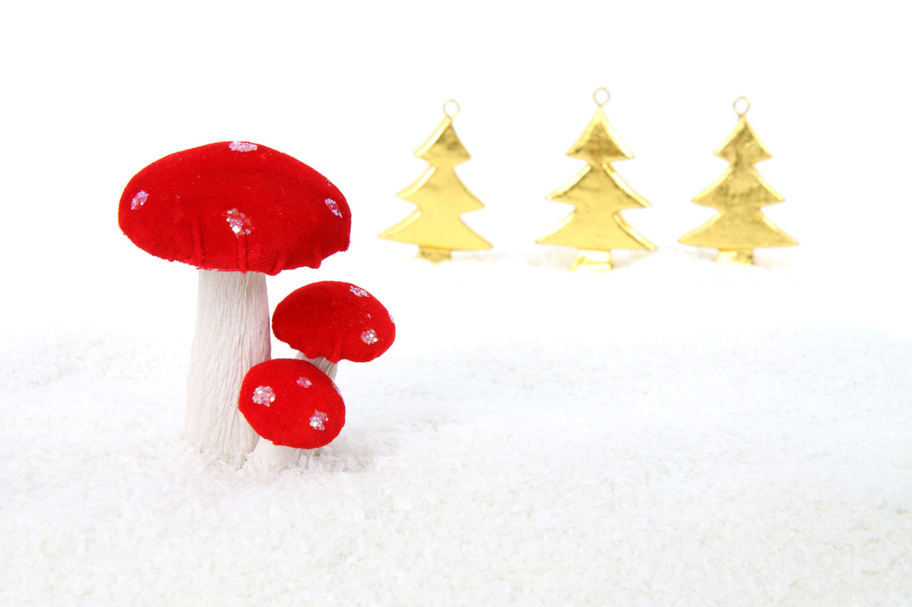圣诞蘑菇