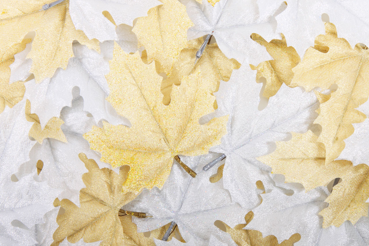 Leaves background décoration