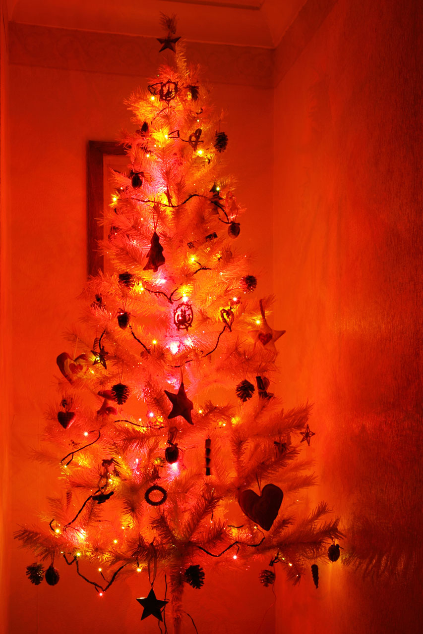 árvore de Natal iluminada