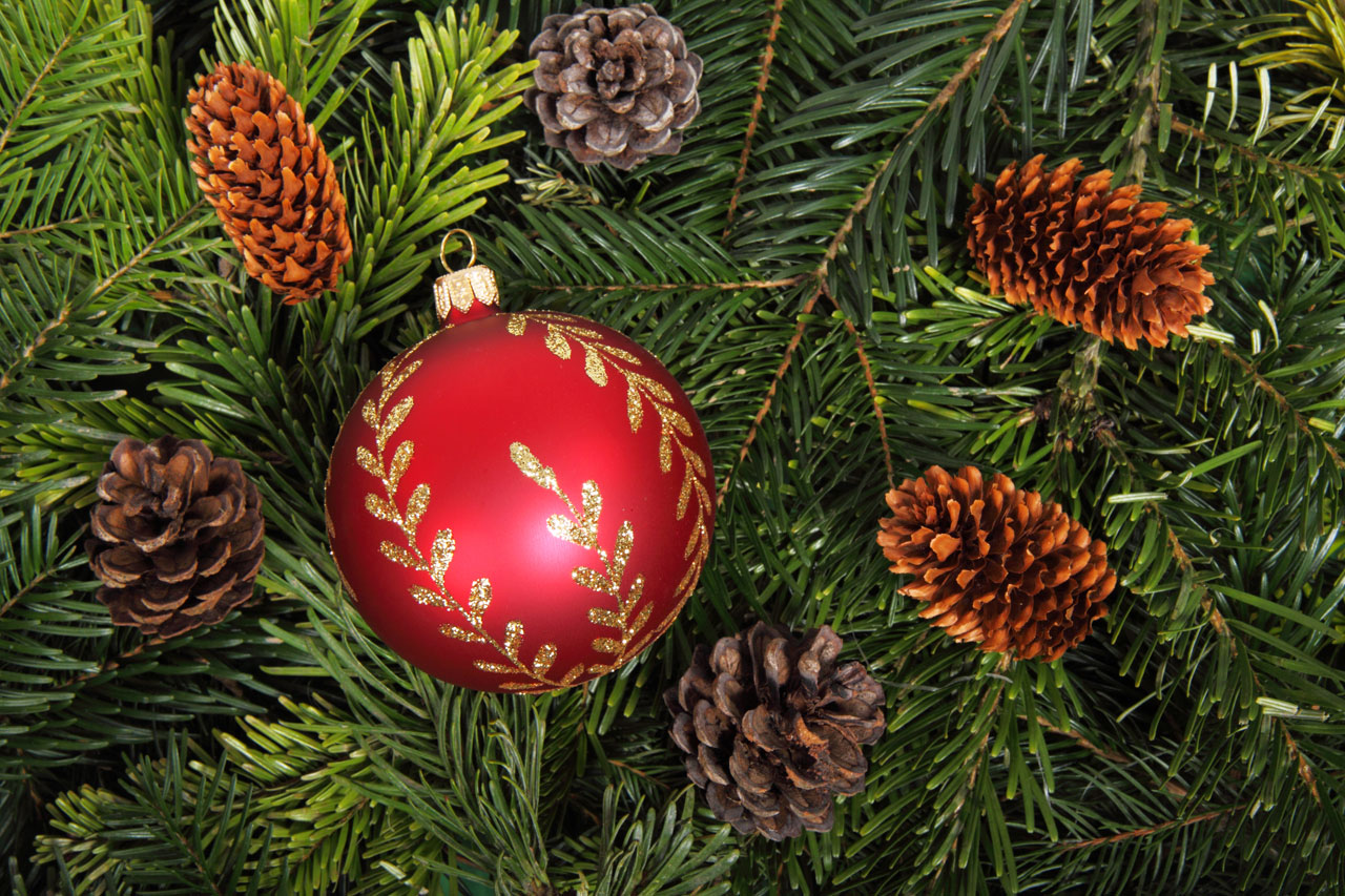 Bauble On Christmas Tree Background