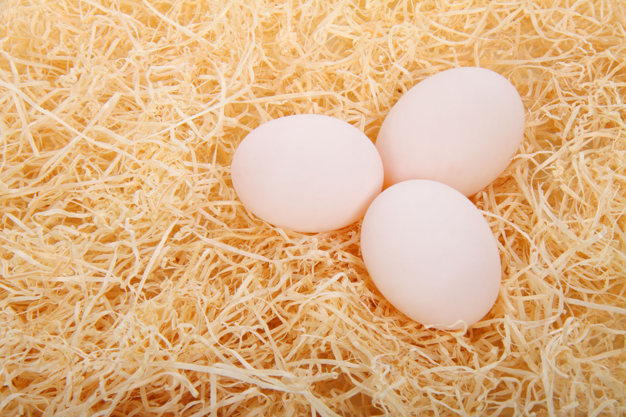 яйца на соломе