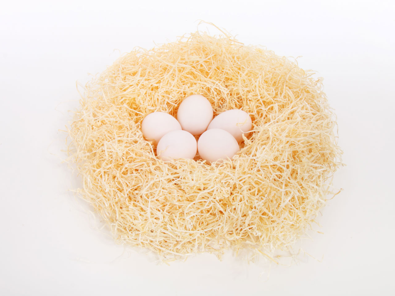 Eieren in nest