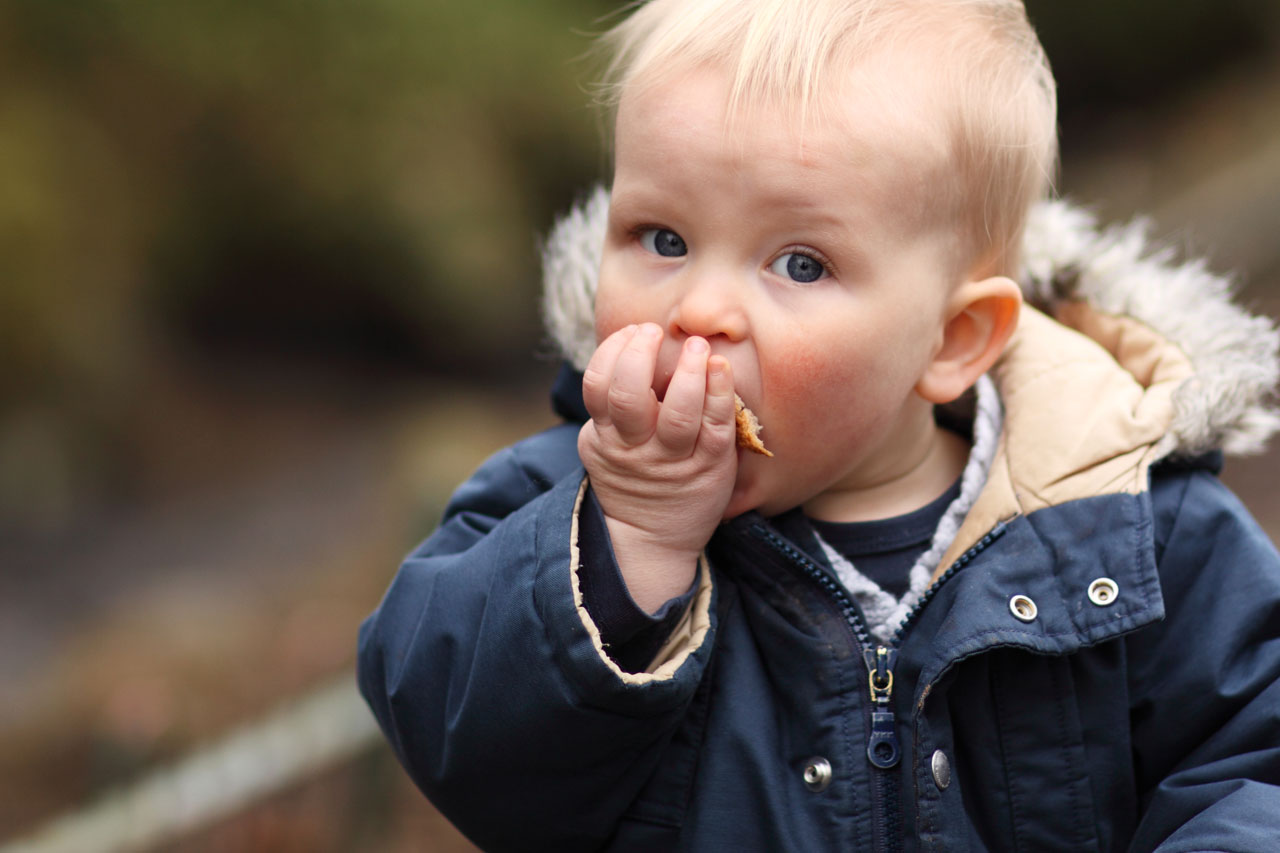 Boy Eating Bread