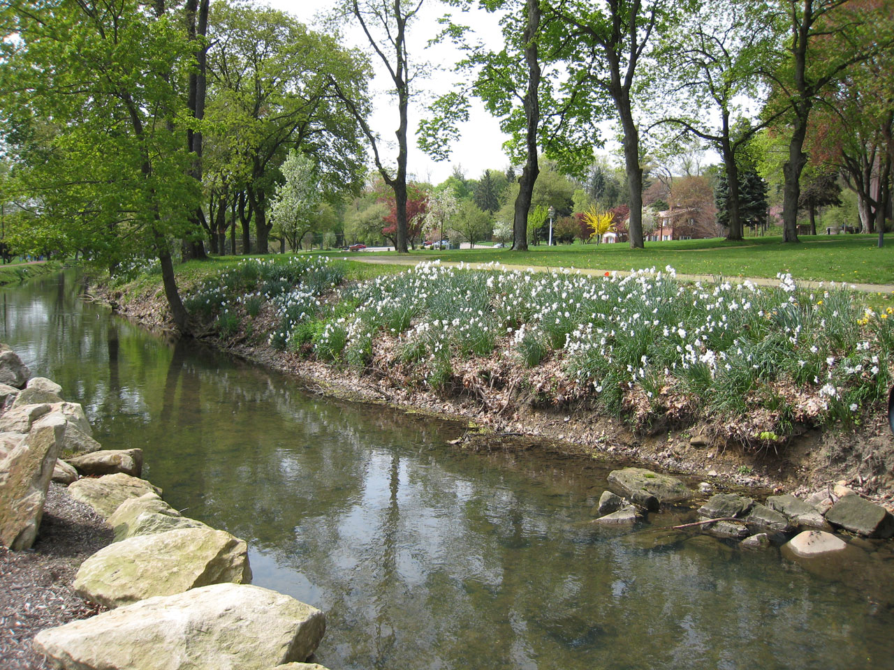 Ruisseau au printemps