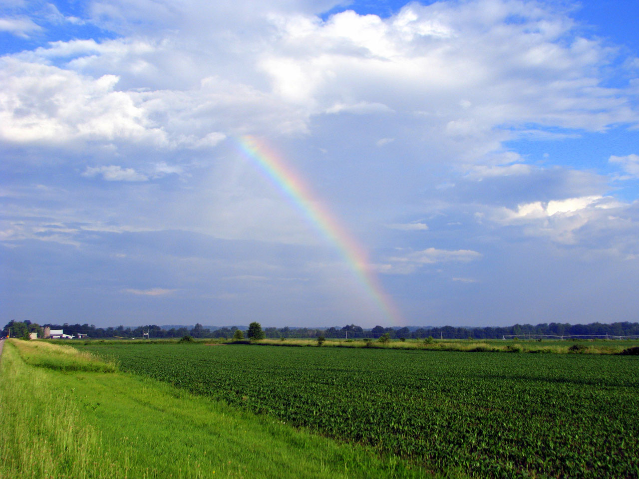 Летняя радуга над открытым field