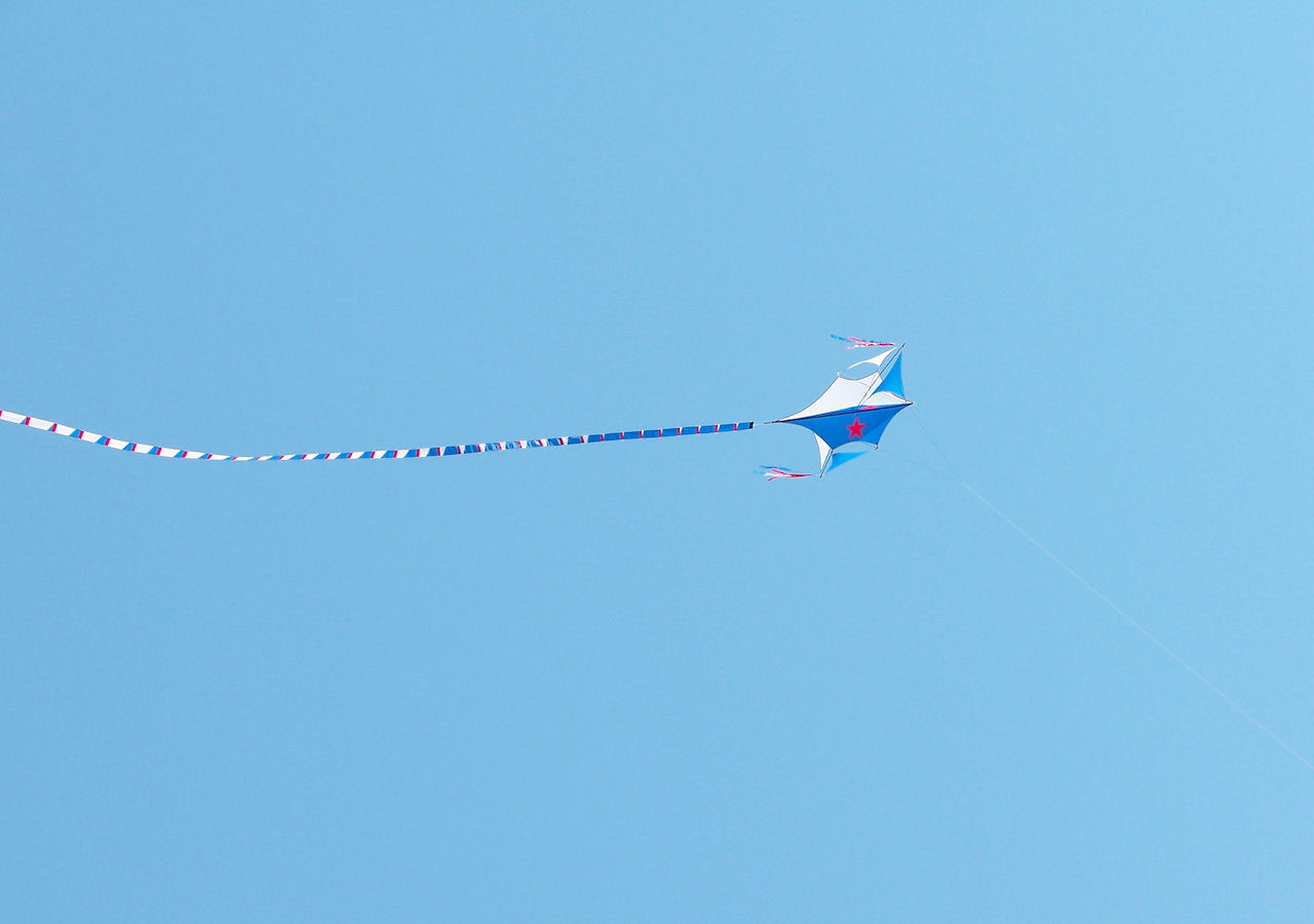 Flying Kite In The Air
