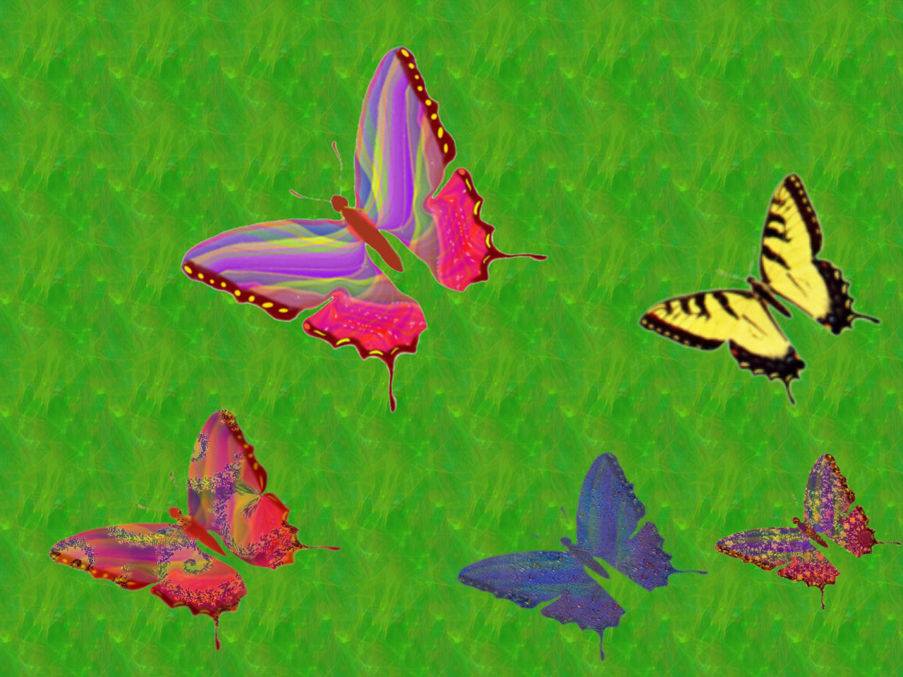 Más mariposas