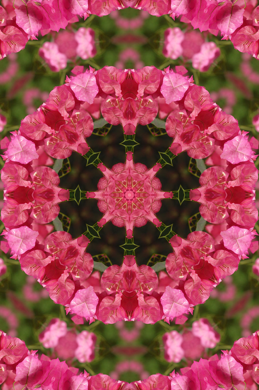Mandala Floral 2