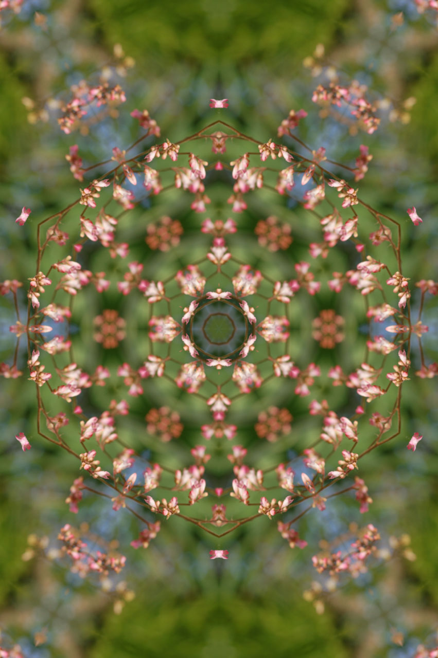 Mandala Floral 3