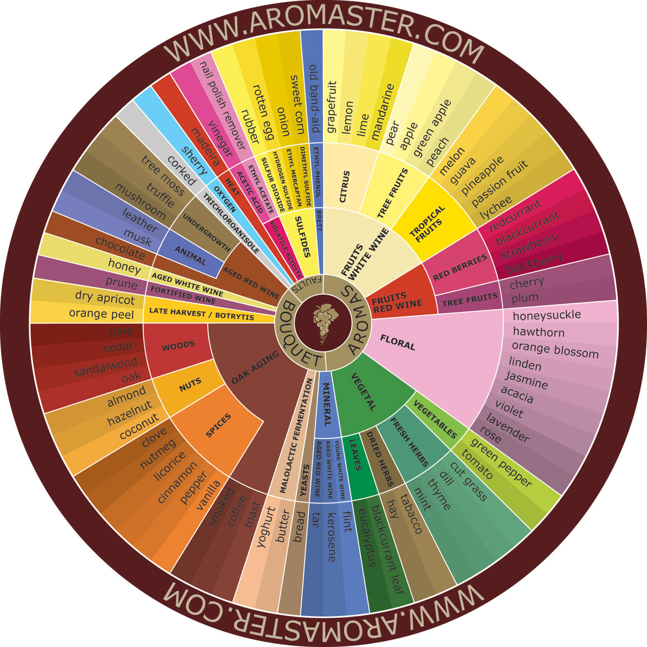 Wine Aroma Wheel