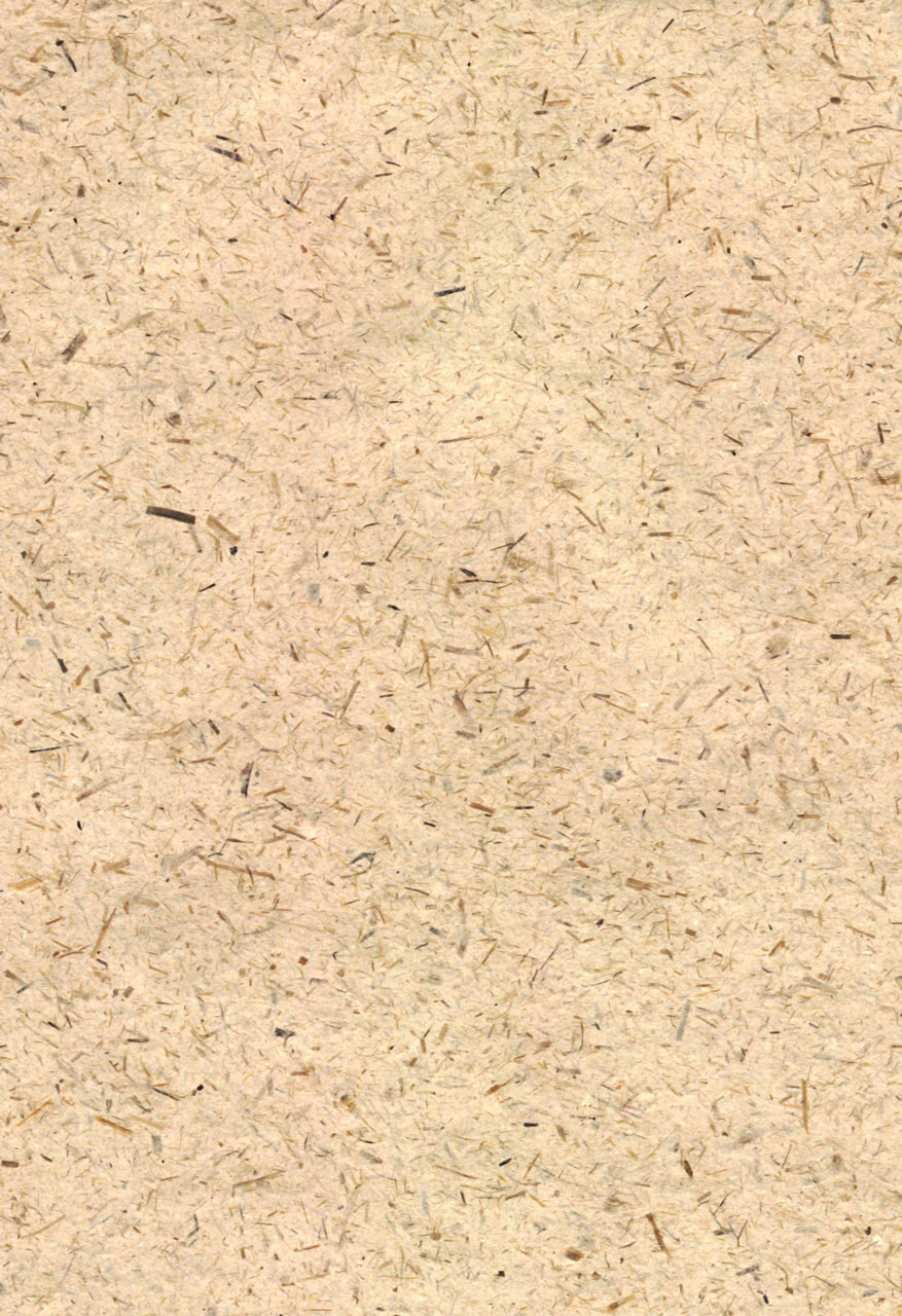 Oatmeal Texture Background