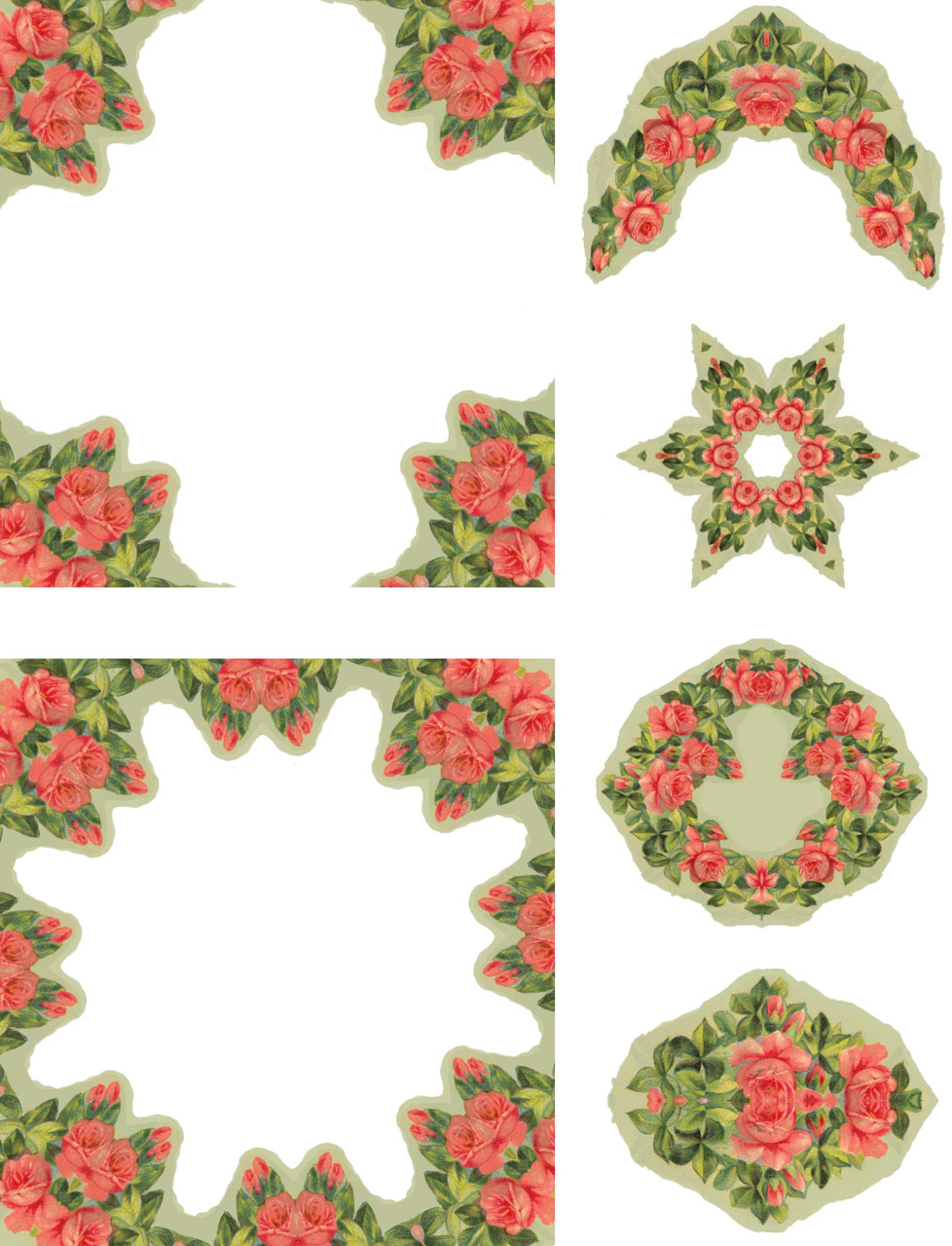 Roses Corail collage fiche