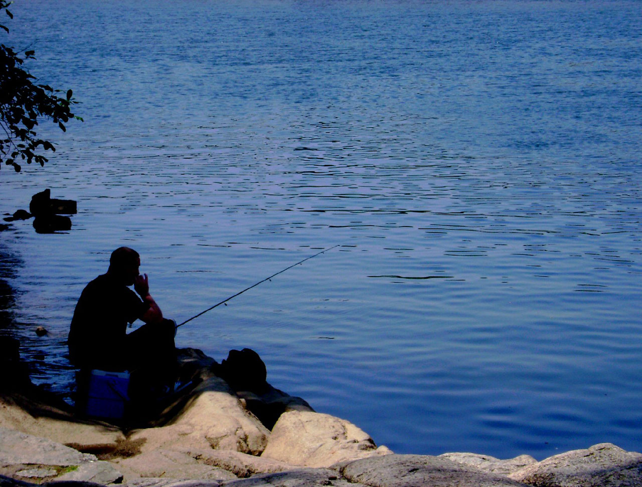 fishing, solitude