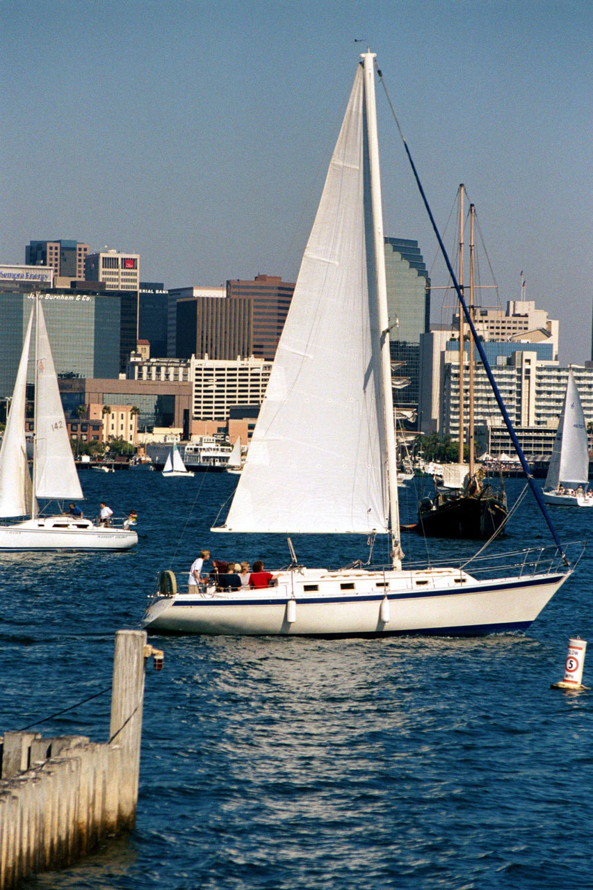 Sailing In San Diego