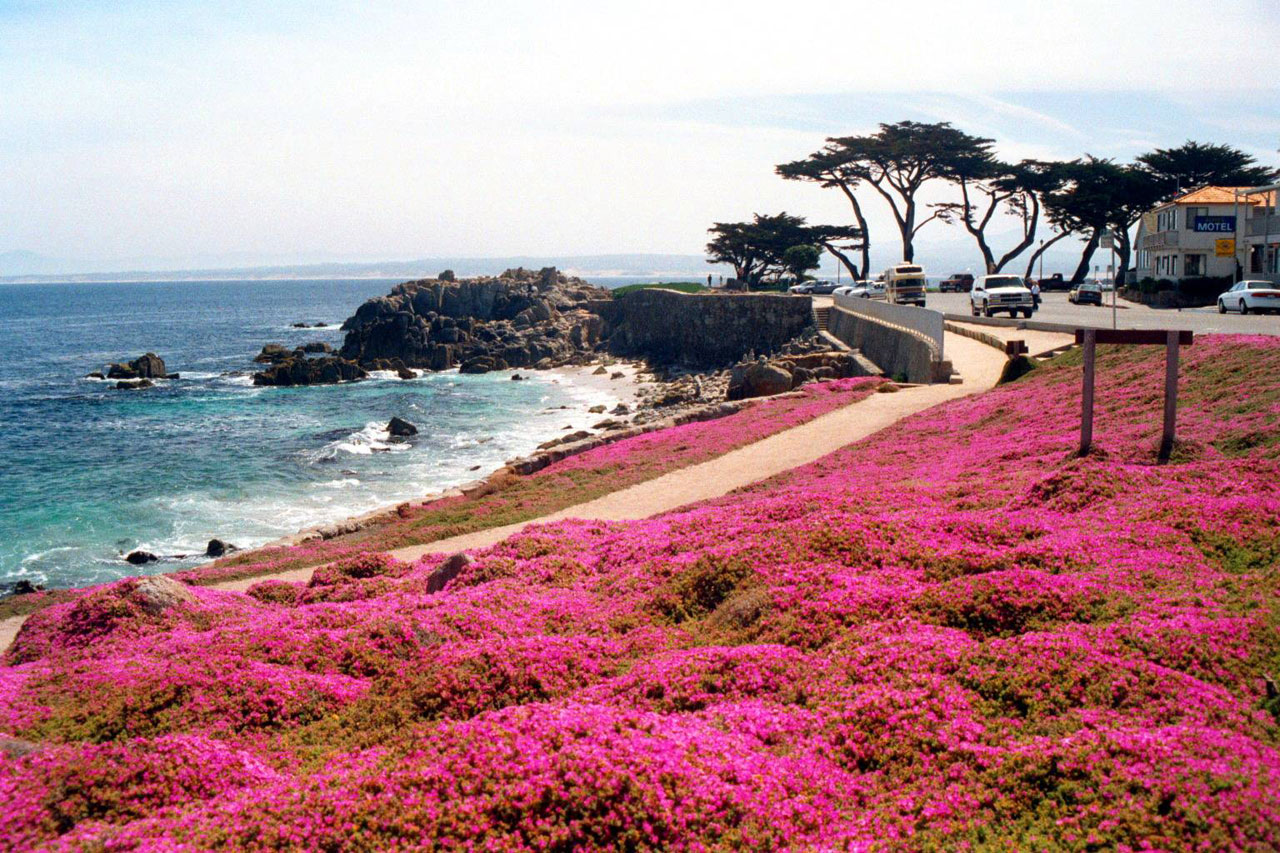 Calif Pacific Grove-Monterey