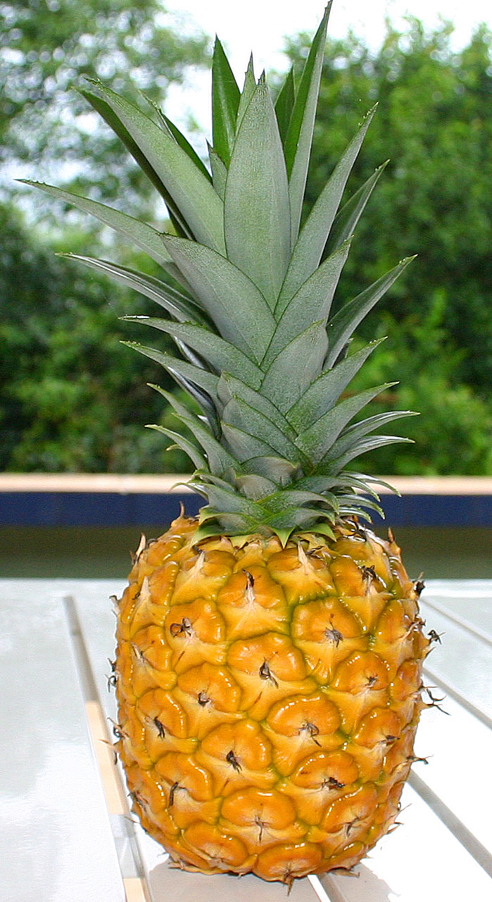 Dojrzały ananas