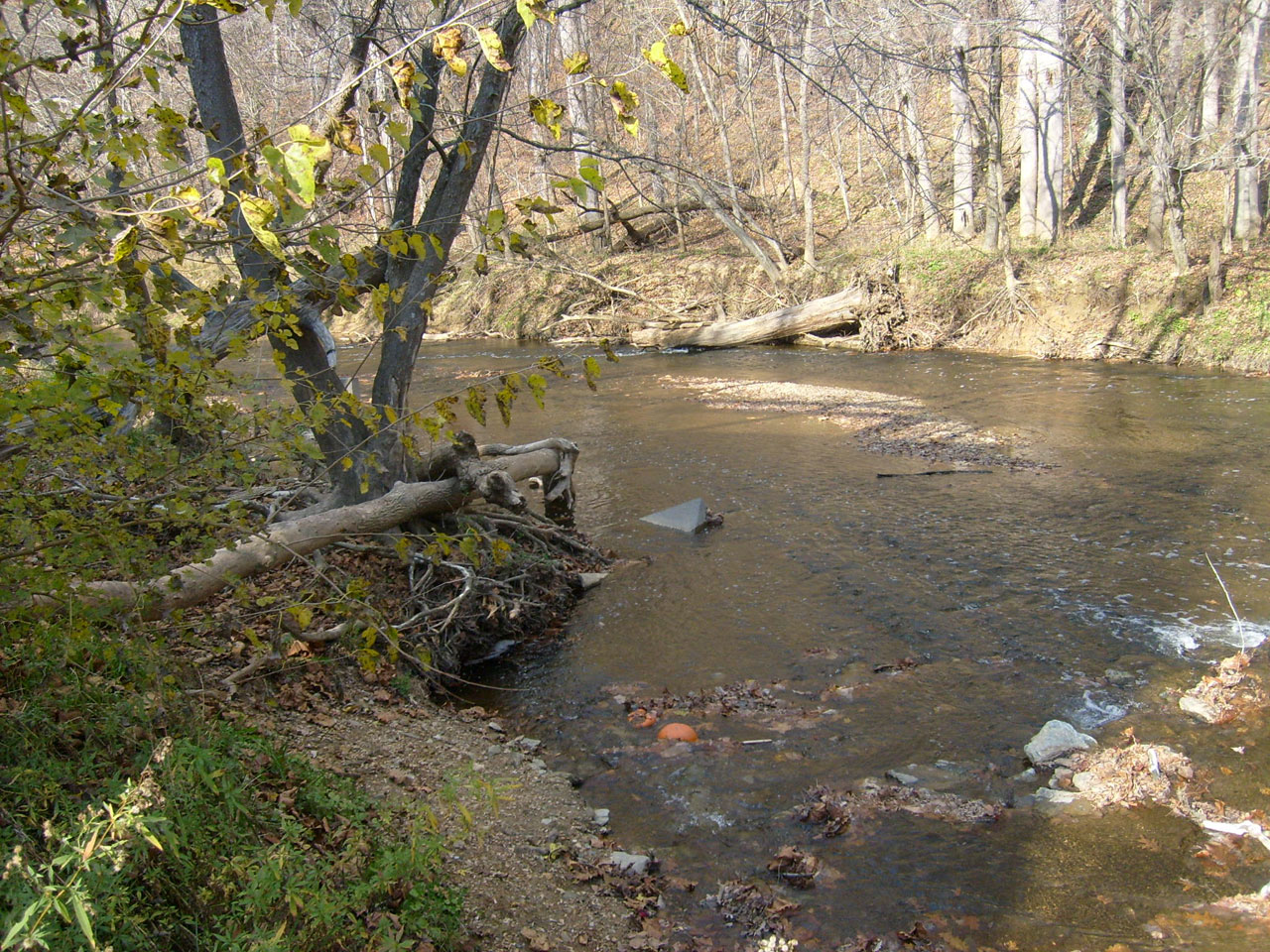 Bieganie Creek