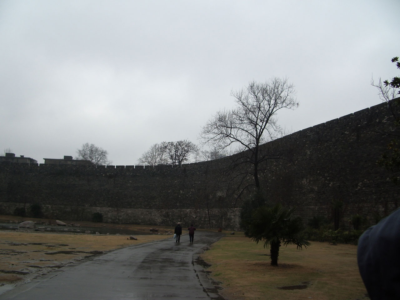 Palace Wall