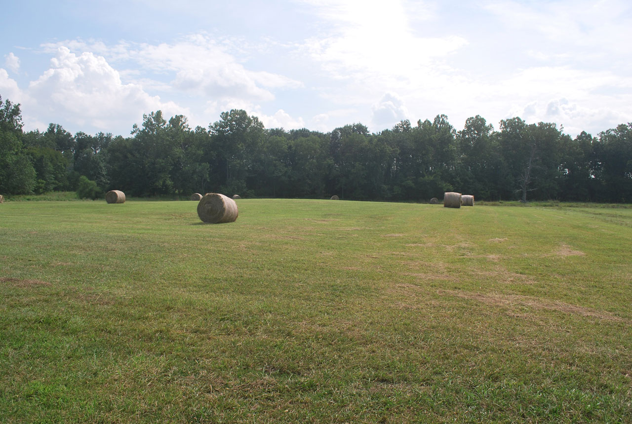 Rolled Hay Bales