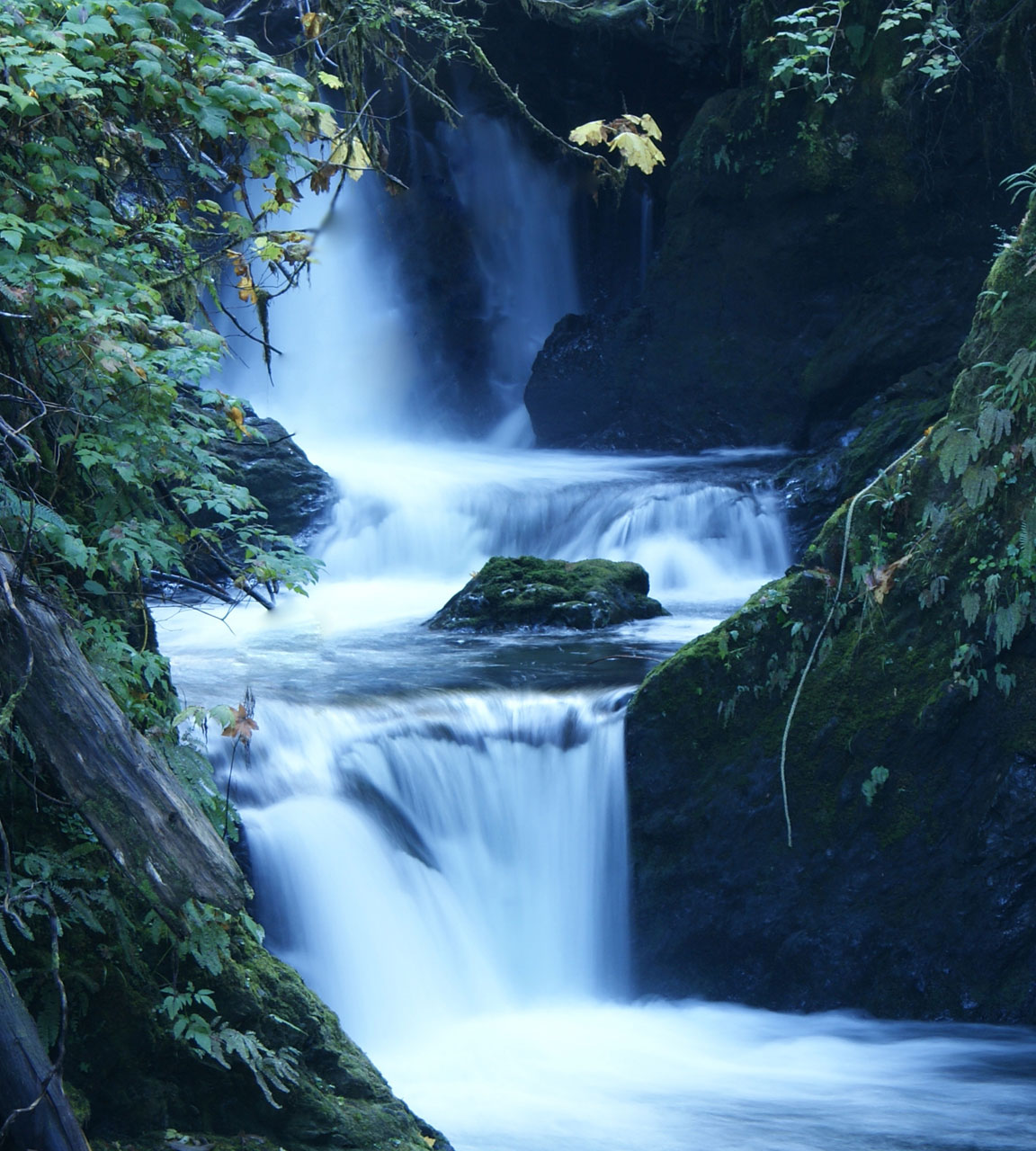 Quinault Waterfall