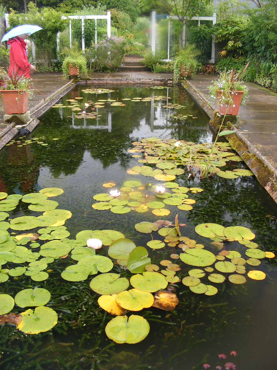 Formal Pond