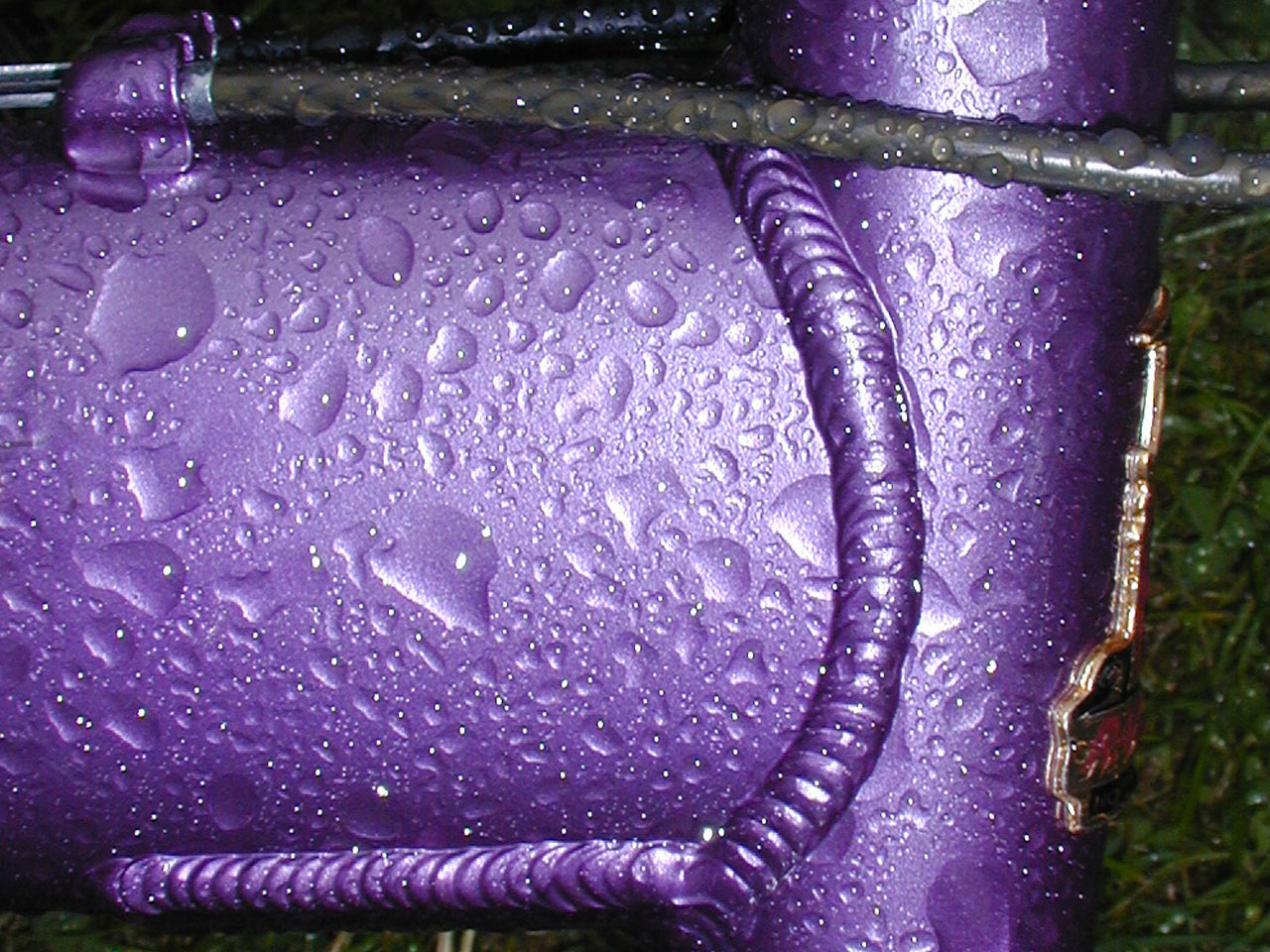 雨滴的紫红2