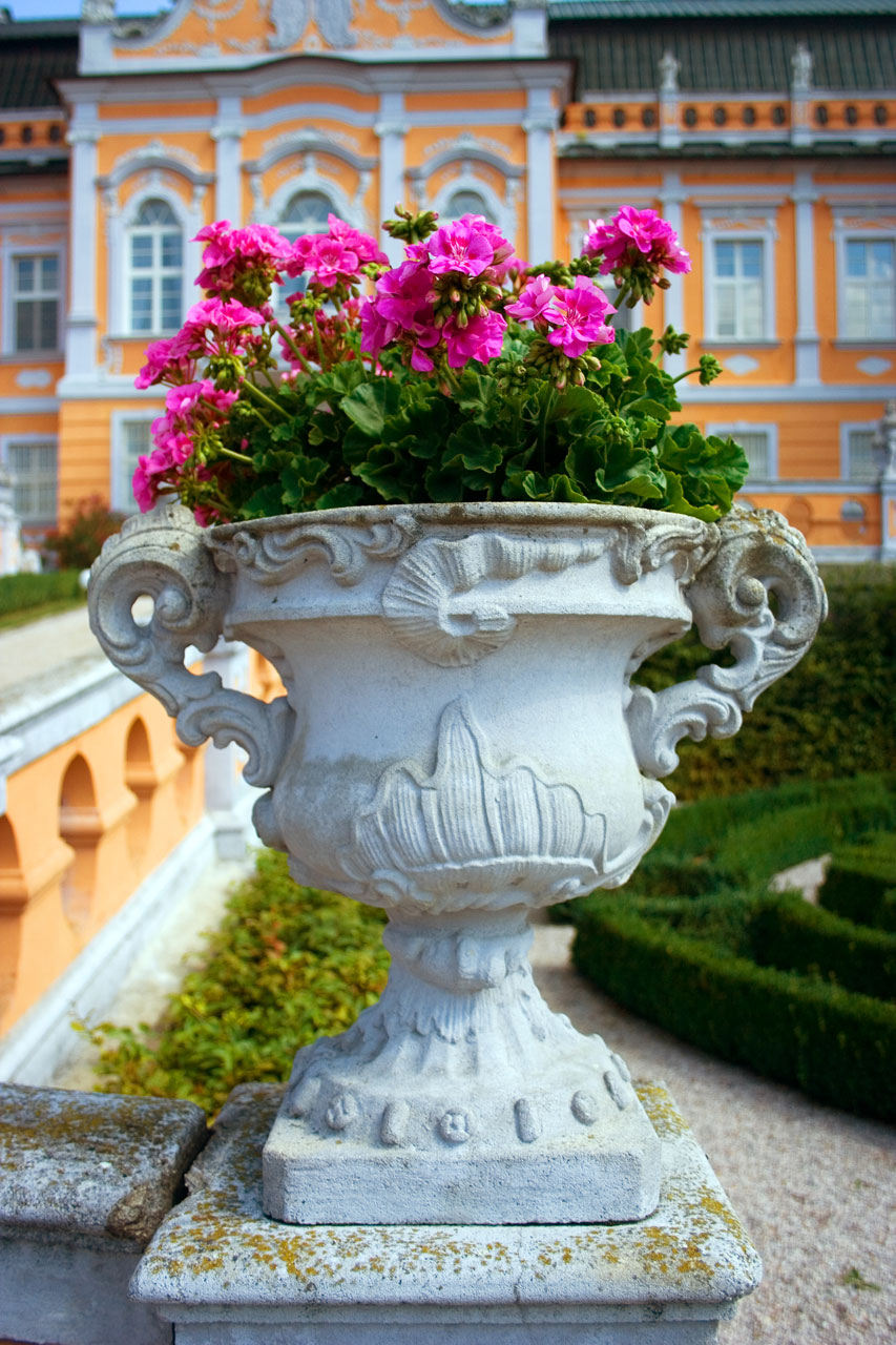 Vase avec des fleurs