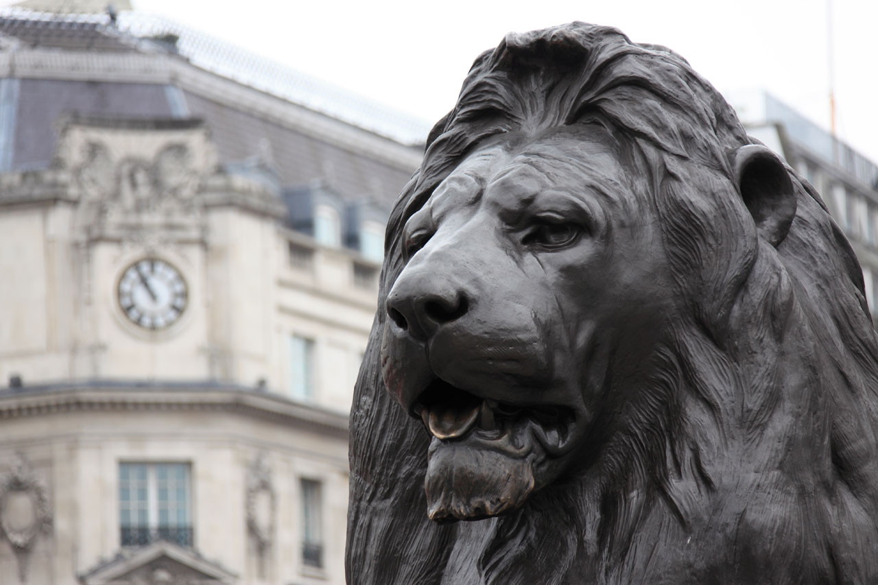 Лев на Трафальгарской площади