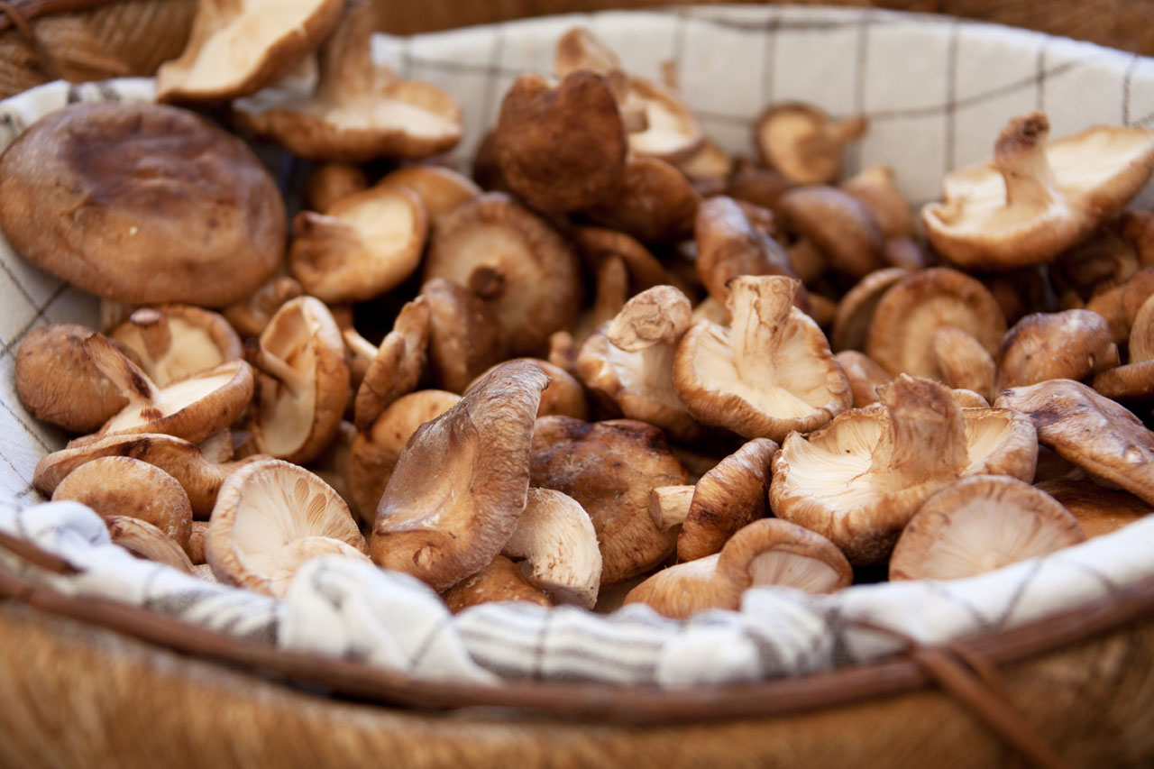 Mushrooms In Basket