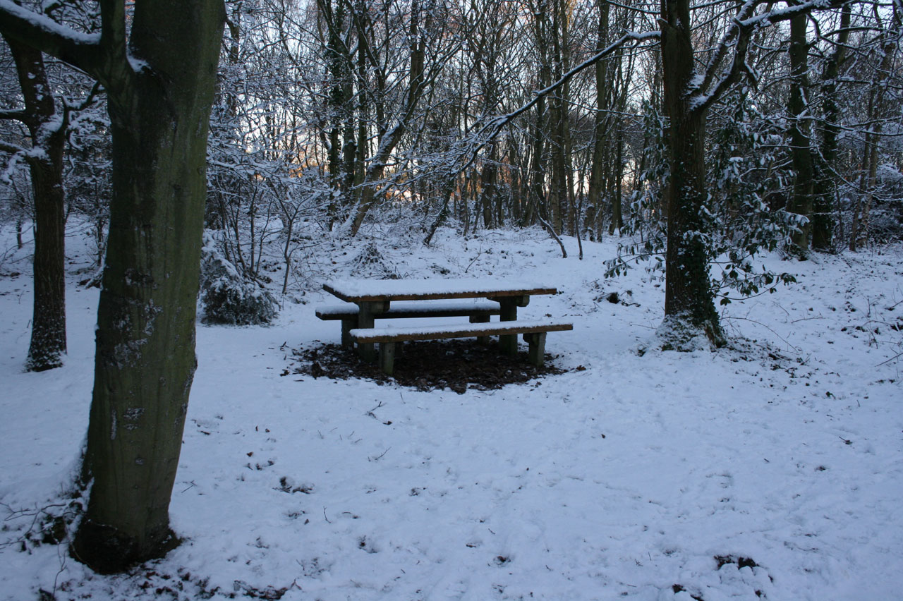 野餐板凳雪2