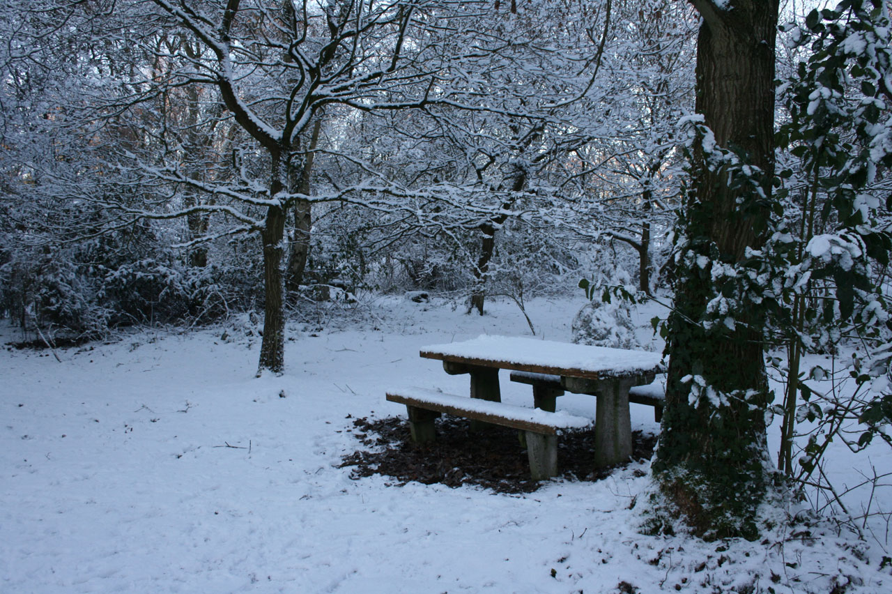 野餐长凳上雪