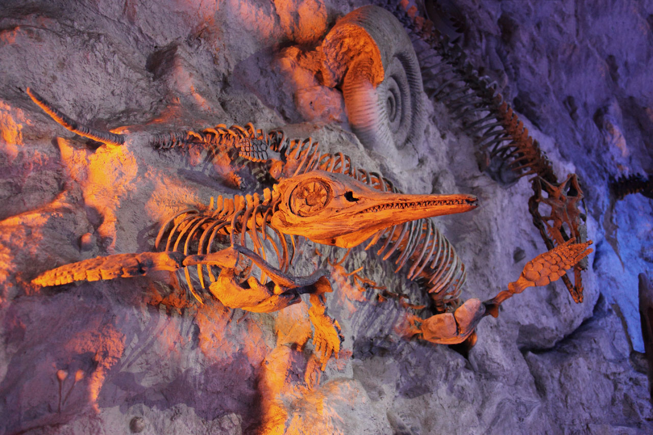 доисторические окаменелости
