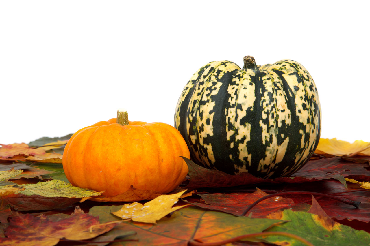 Pumpkins And Leaves On White