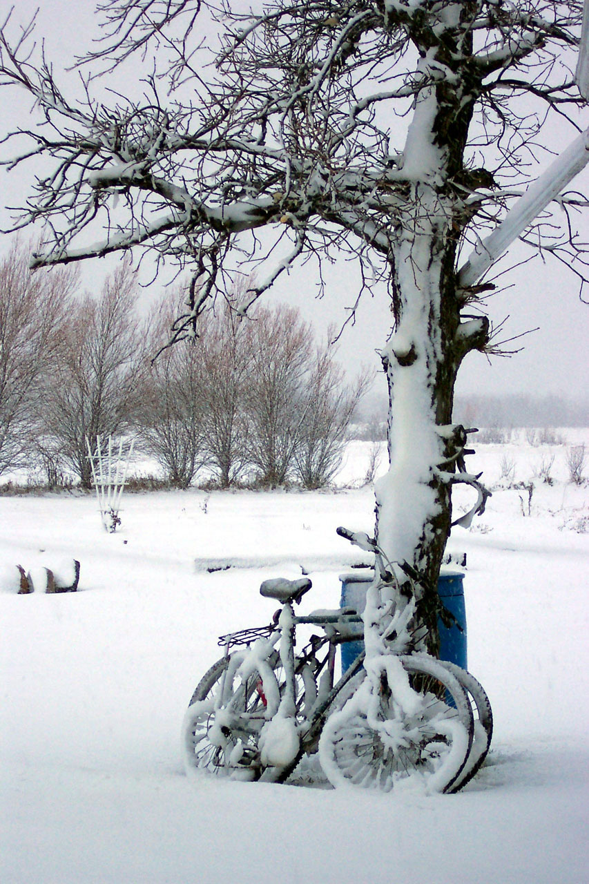 A neve cobriu de bicicleta