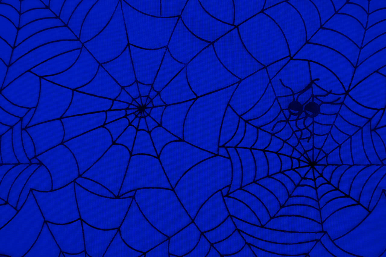 Spinnennetz-Muster