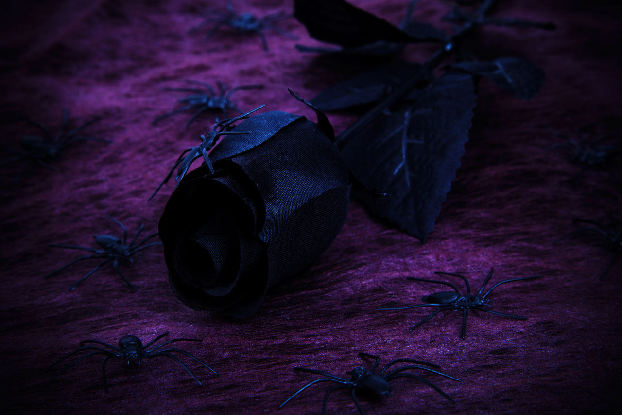 幽灵般的玫瑰