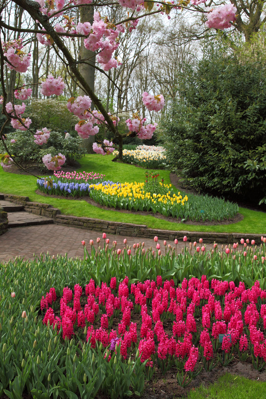 Spring Flower Garden Free Stock Photo - Public Domain Pictures