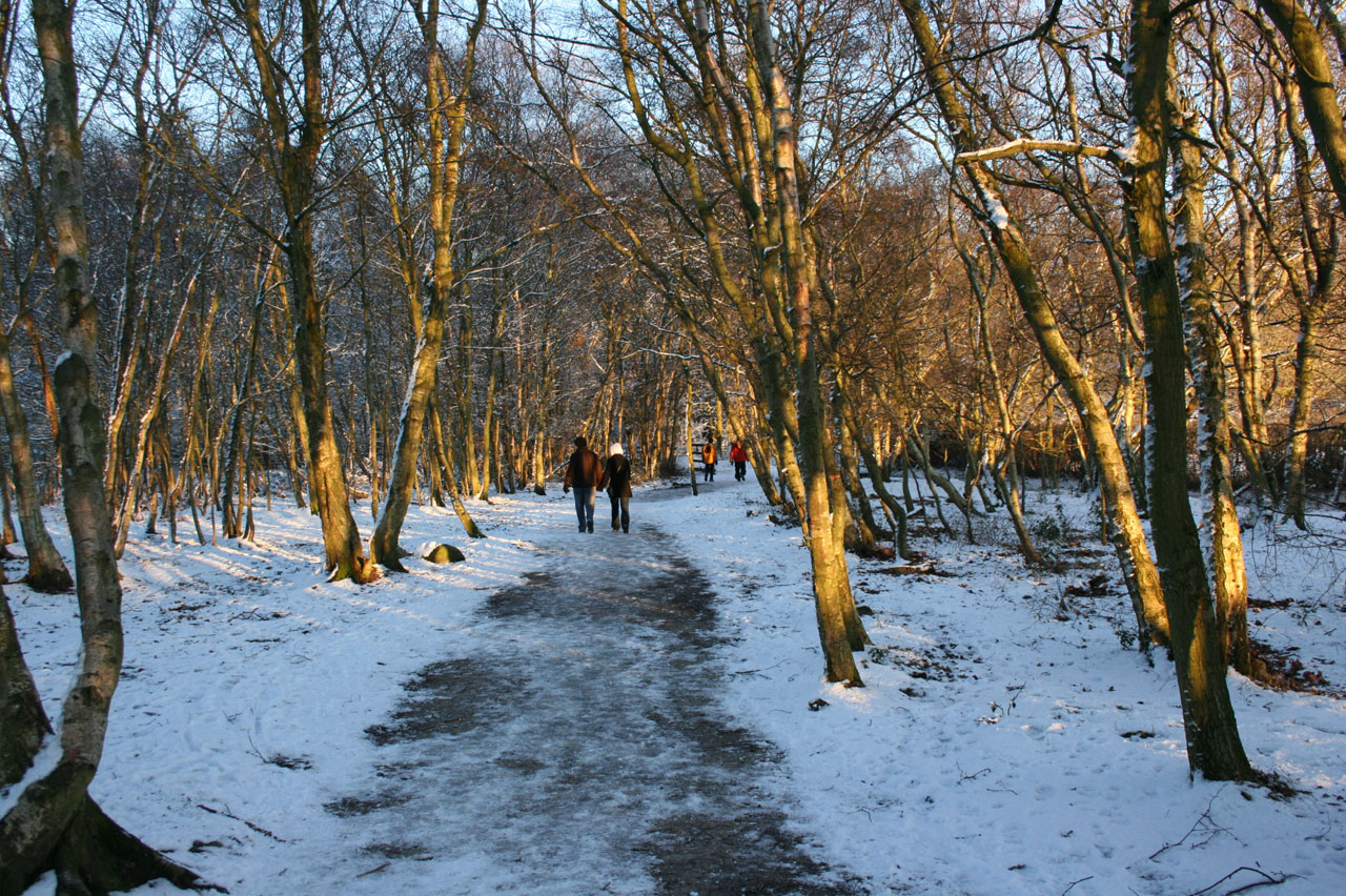 Gyaloglás a hóban