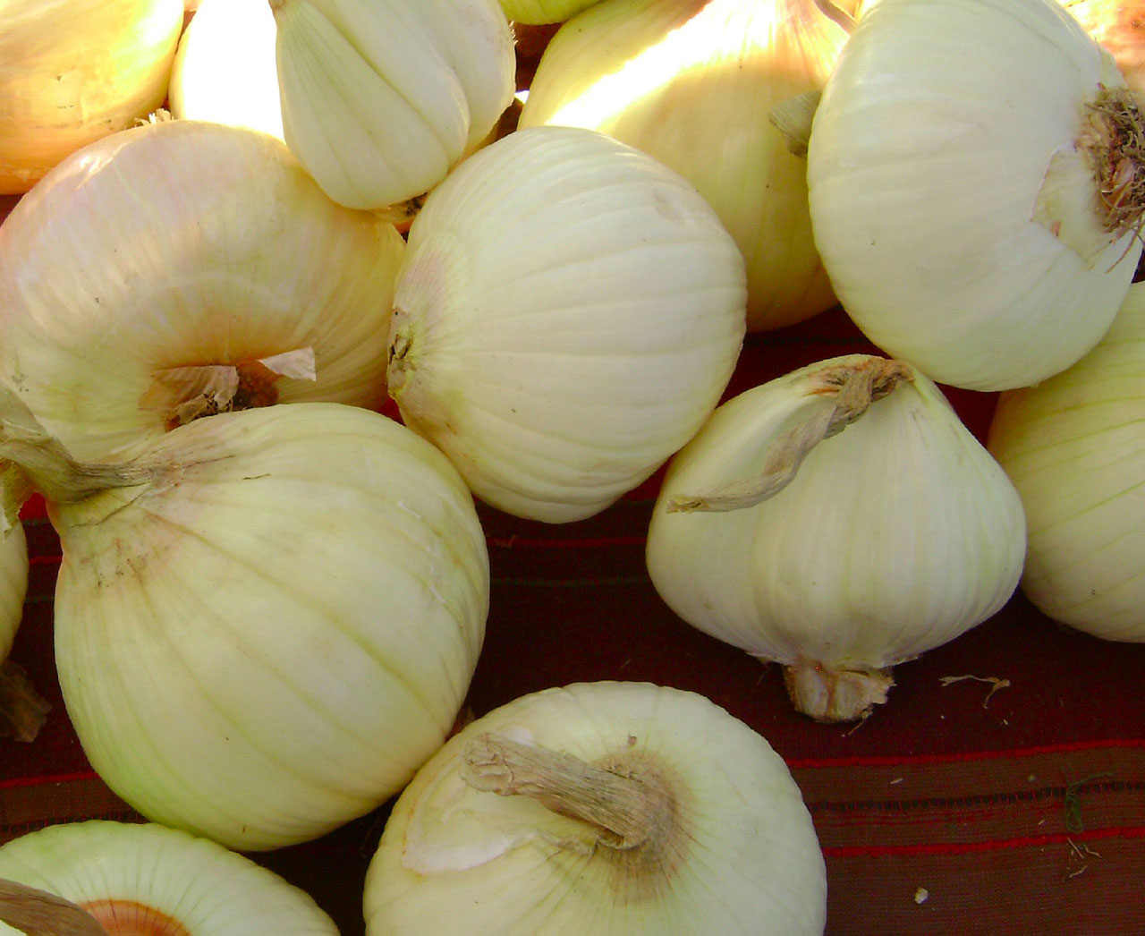 White Onions 5