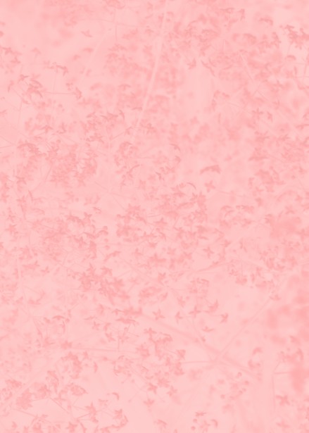 Soft Floral Background Free Stock Photo - Public Domain Pictures