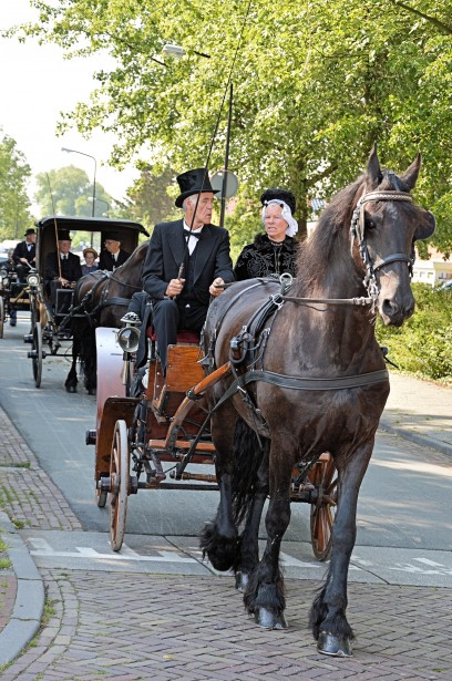Traditional Carriages Free Stock Photo - Public Domain Pictures