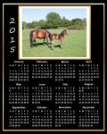 2015 Kalendář Krásné koně