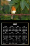 Calendario 2015 del pájaro lindo