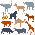 Los animales de África de colores