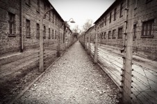 Auschwitz / Birkenau.