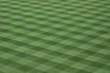 Baseball Field Turf Grass