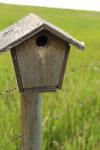 Birdhouse Brown post Barbed Wire