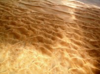 Kropenatý poušť