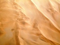 砂漠のゴールドクリーム